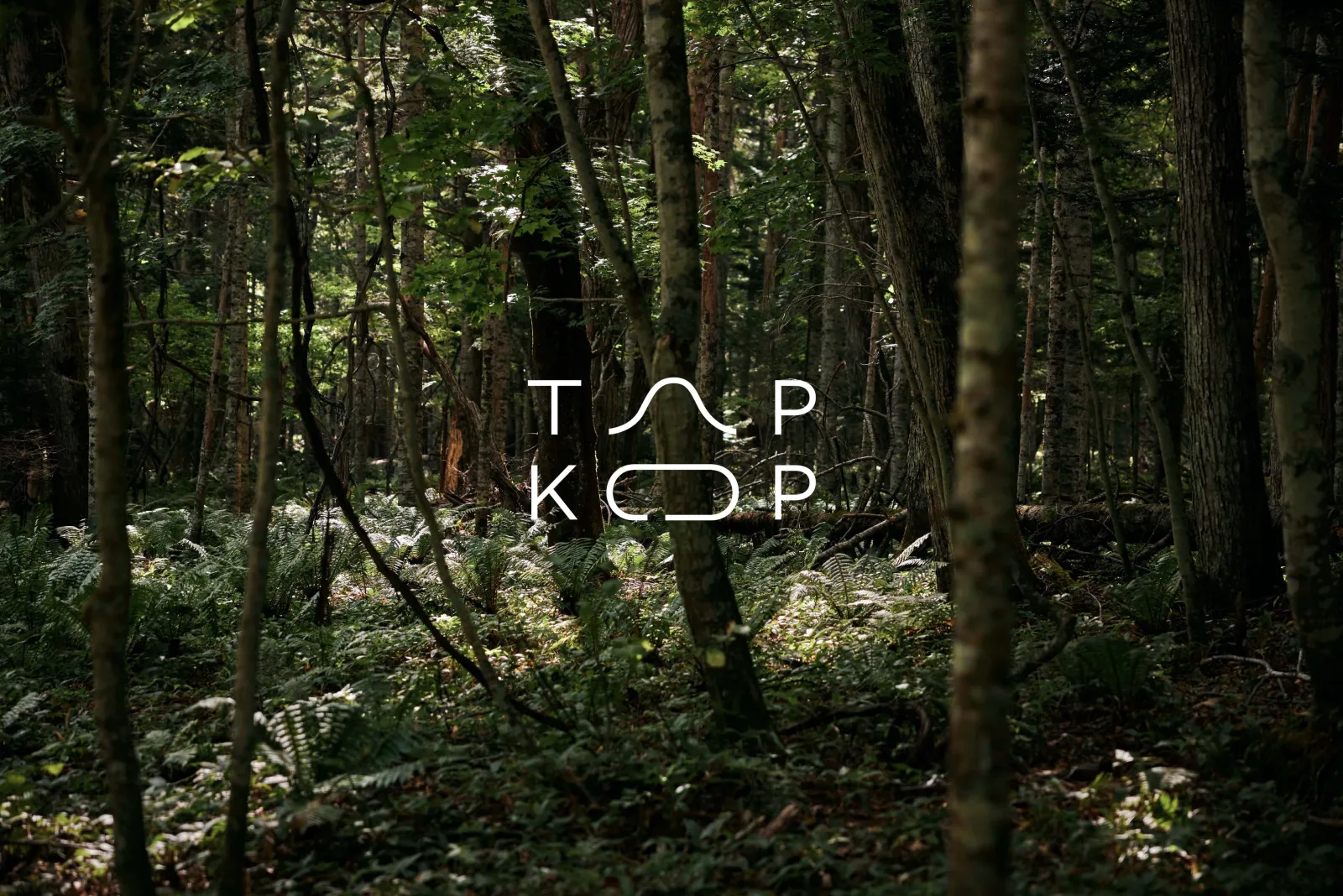 TAPKOP